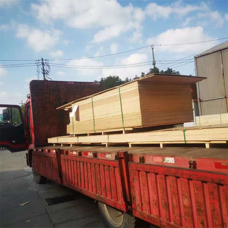 河南濮阳南乐县至塔城货运专线，一站式物流服务助您成功